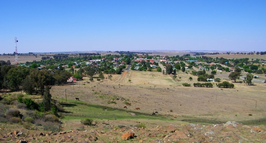 Petrus Steyn view